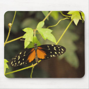 Vlinder in een tuin muismat