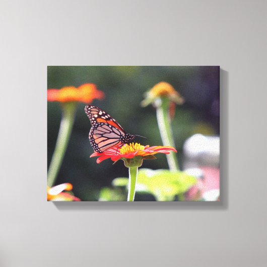 Vlinder Ingepakt Canvas Afdruk (Voorkant)
