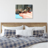 Vlinder insectenliefhebbers foto enkele print (Insitu (Slaapkamer))