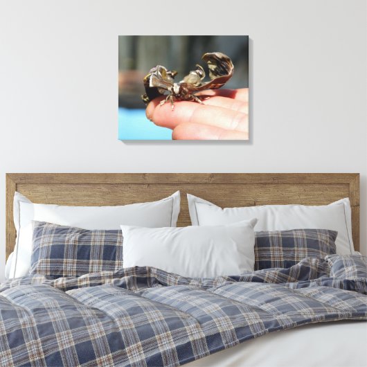 Vlinder insectenliefhebbers foto enkele print (Insitu (Slaapkamer))