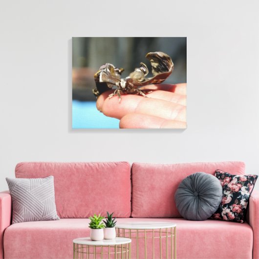 Vlinder insectenliefhebbers foto enkele print (Insitu (Woonkamer))