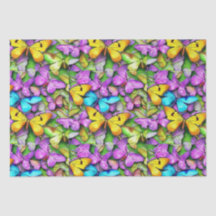 Vlinder is kleurrijk