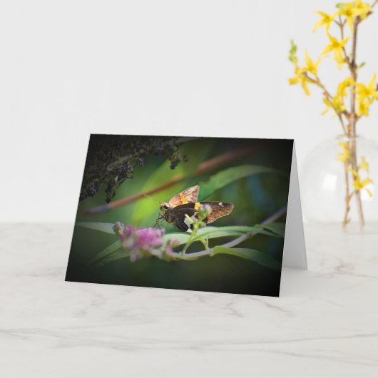 Vlinder, kaart (Gele Bloem)