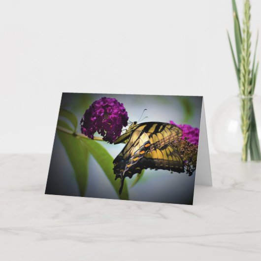 Vlinder, kaart (Voorkant)