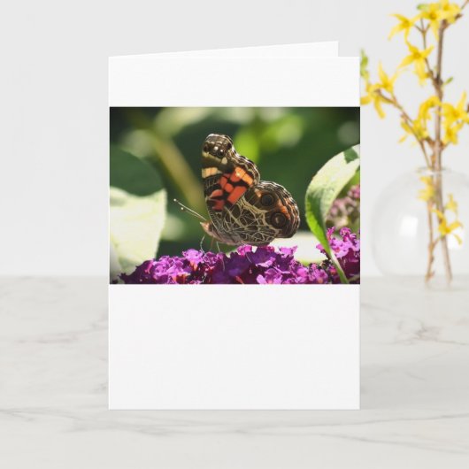 Vlinder, kaart (Gele Bloem)