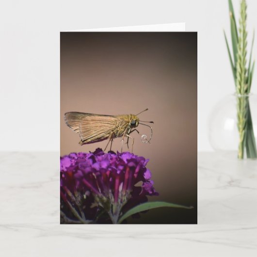 Vlinder, kaart (Voorkant)
