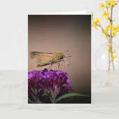 Vlinder, kaart (Gele Bloem)