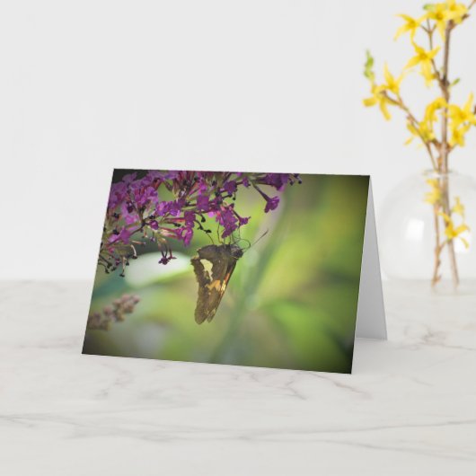 Vlinder, kaart (Gele Bloem)