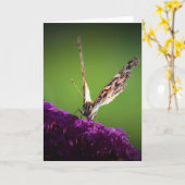 Vlinder, kaart (Gele Bloem)