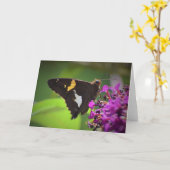 Vlinder, kaart (Gele Bloem)