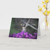 Vlinder, kaart (Gele Bloem)