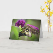 Vlinder, kaart (Gele Bloem)