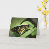 Vlinder, kaart (Gele Bloem)