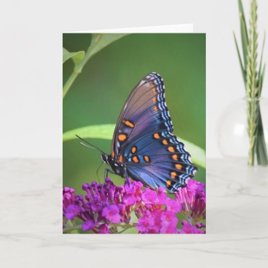 Vlinder, kaart (Voorkant)