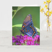 Vlinder, kaart (Gele Bloem)