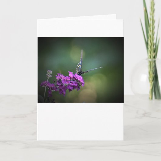 Vlinder, kaart (Voorkant)