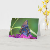 Vlinder, kaart (Gele Bloem)