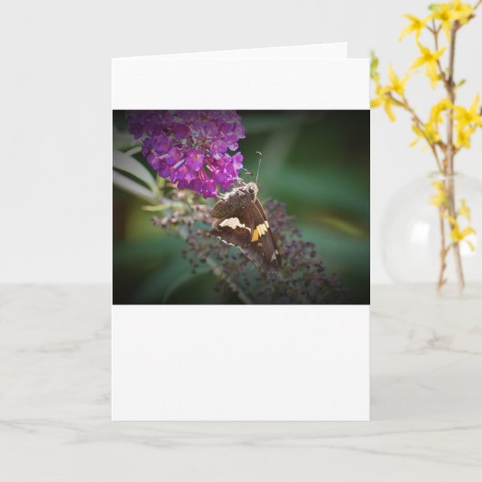 Vlinder, kaart (Gele Bloem)