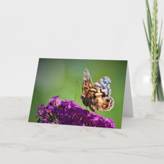 Vlinder, kaart (Voorkant)