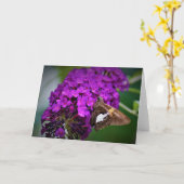 Vlinder, kaart (Gele Bloem)