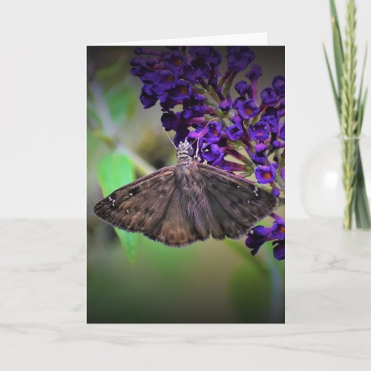 Vlinder, kaart (Voorkant)