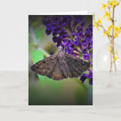 Vlinder, kaart (Gele Bloem)