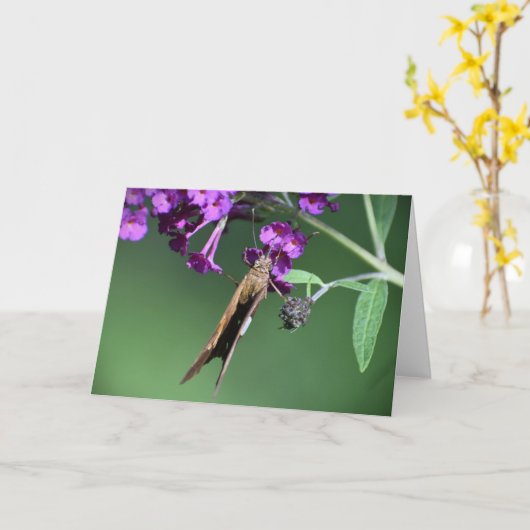 Vlinder, kaart (Gele Bloem)