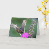 Vlinder, kaart (Gele Bloem)