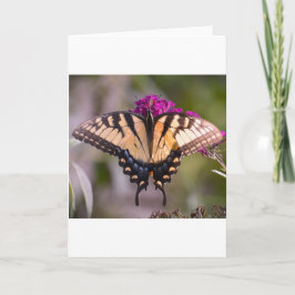 Vlinder, kaart