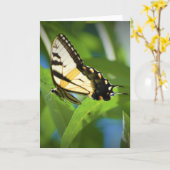 Vlinder, kaart (Gele Bloem)