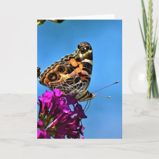 Vlinder, kaart (Voorkant)