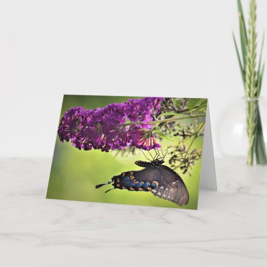 Vlinder, kaart (Voorkant)