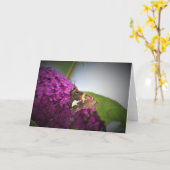 Vlinder, kaart (Gele Bloem)