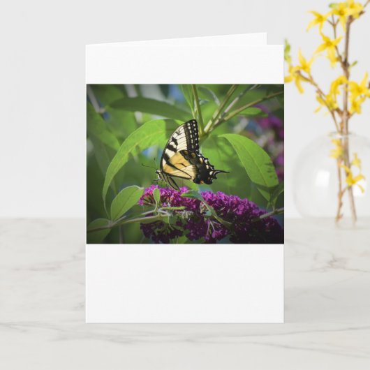 Vlinder, kaart (Gele Bloem)