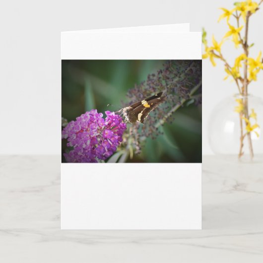 Vlinder, kaart (Gele Bloem)