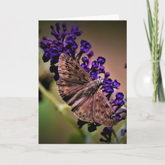 Vlinder, kaart (Voorkant)