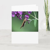 Vlinder, kaart (Voorkant)