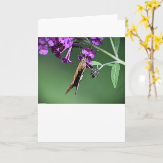 Vlinder, kaart (Gele Bloem)