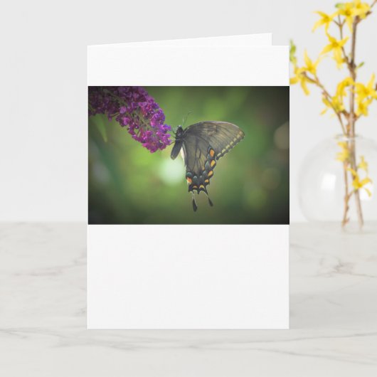 Vlinder, kaart (Gele Bloem)