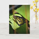 Vlinder, kaart (Gele Bloem)
