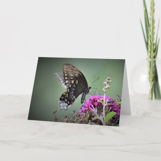 Vlinder, kaart (Voorkant)