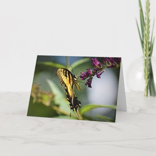 Vlinder, kaart (Voorkant)