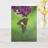 Vlinder, kaart (Gele Bloem)