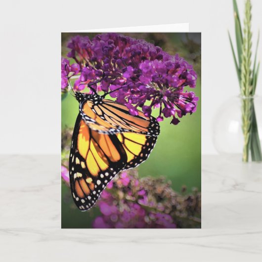 Vlinder, kaart (Voorkant)