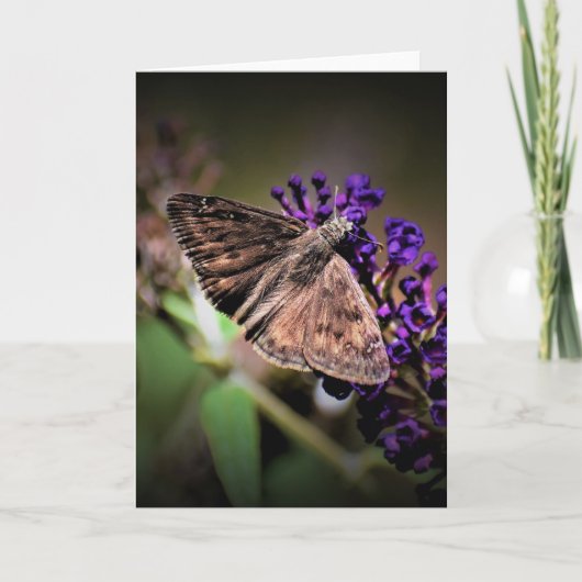 Vlinder, kaart (Voorkant)
