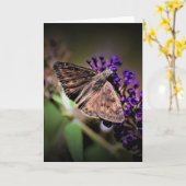 Vlinder, kaart (Gele Bloem)