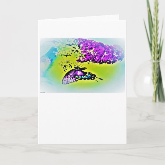 Vlinder, kaart (Voorkant)