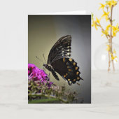 Vlinder, kaart (Gele Bloem)
