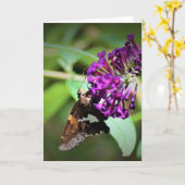 Vlinder, kaart (Gele Bloem)