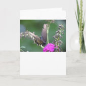 Vlinder, kaart (Voorkant)